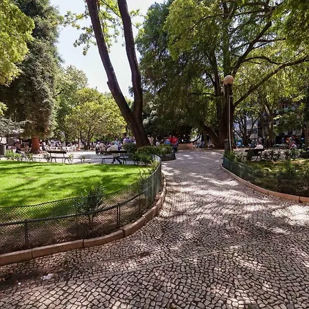 Infantaria - 98001al *